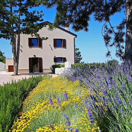 Luxury Villa Gradin Gračišče Zewnętrze zdjęcie