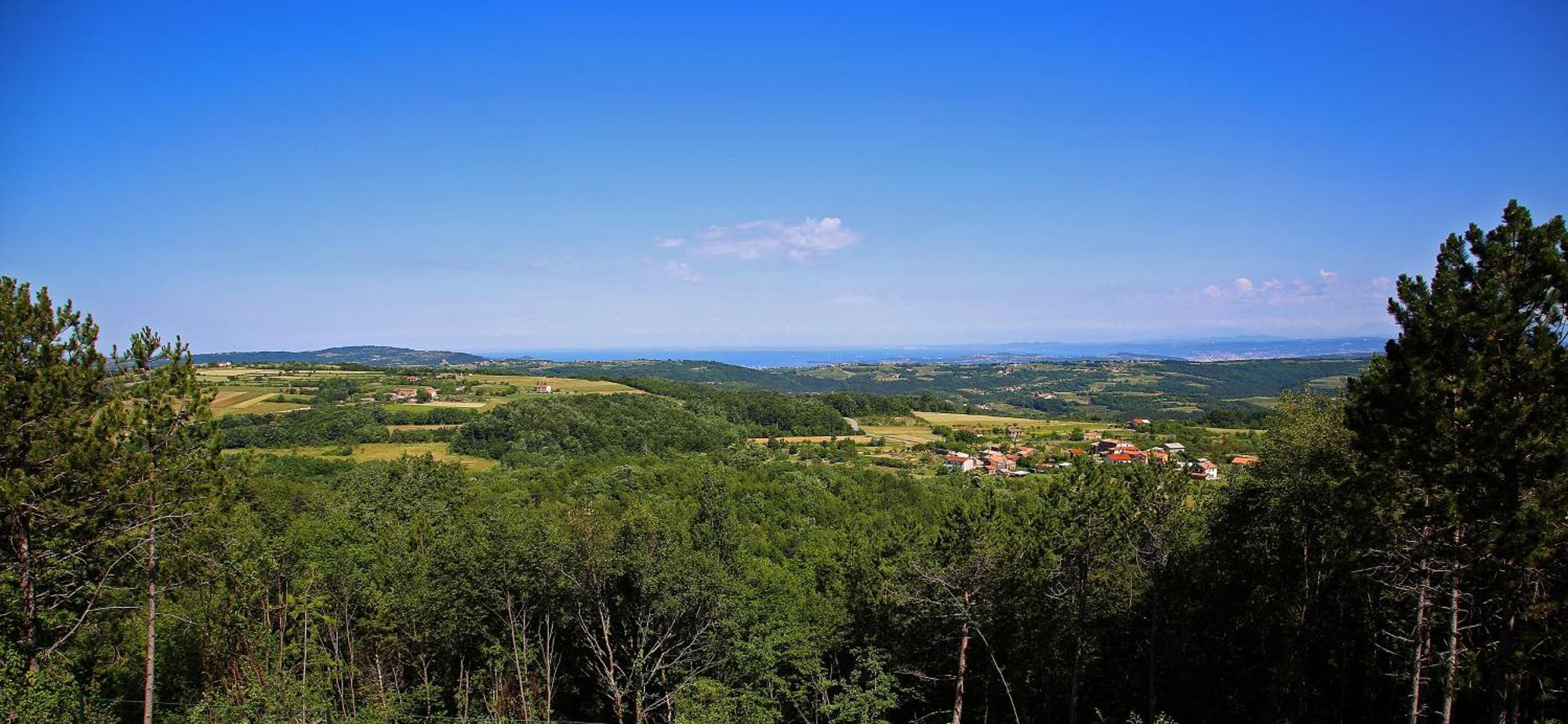 Luxury Villa Gradin Gračišče Zewnętrze zdjęcie