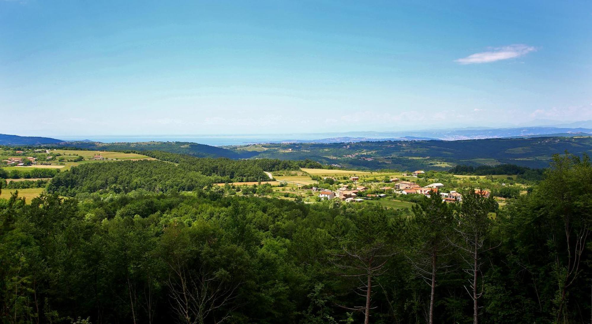 Luxury Villa Gradin Gračišče Zewnętrze zdjęcie