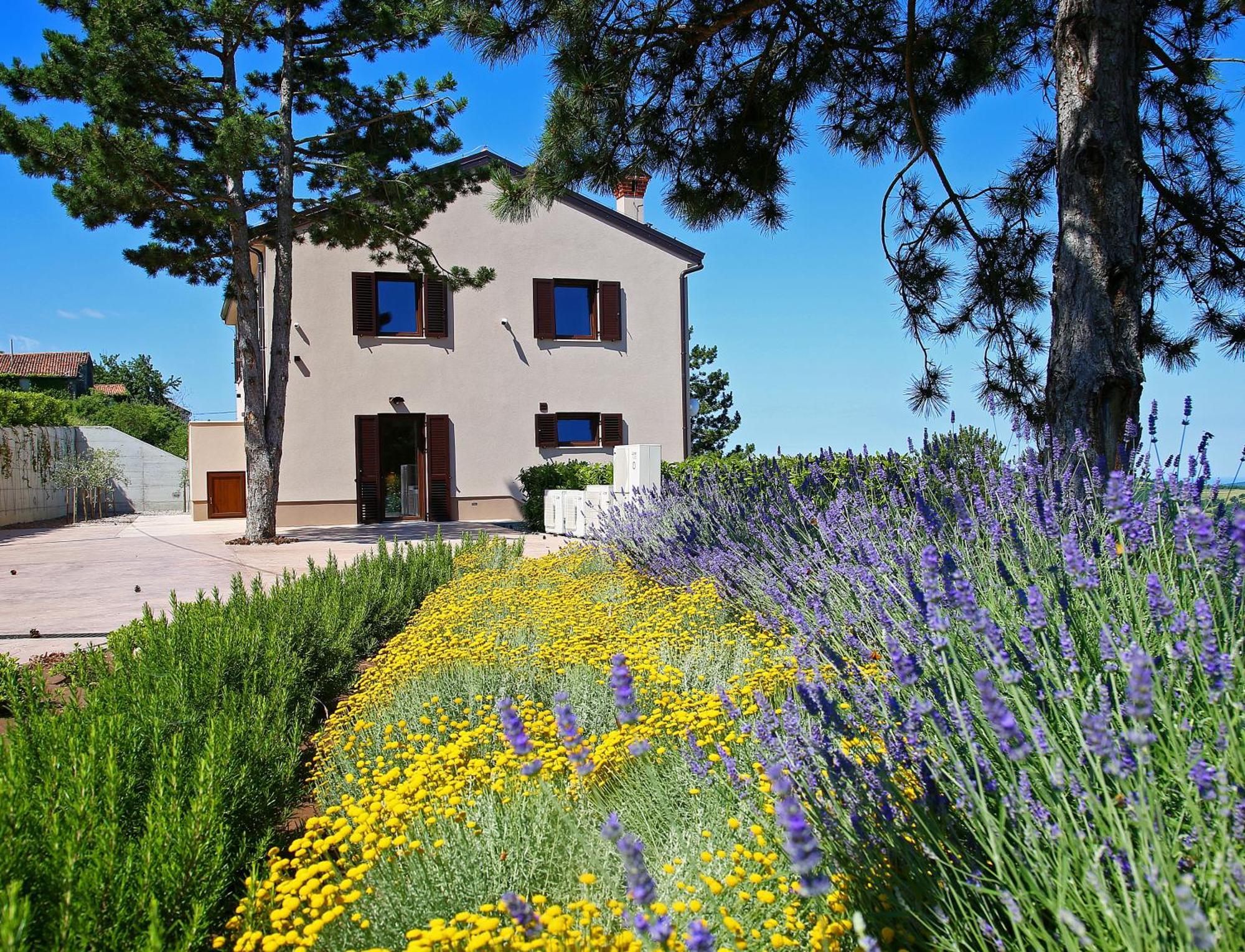 Luxury Villa Gradin Gračišče Zewnętrze zdjęcie